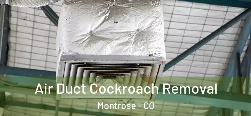  Air Duct Cockroach Removal Montrose - CO
