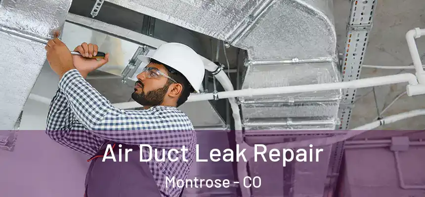  Air Duct Leak Repair Montrose - CO
