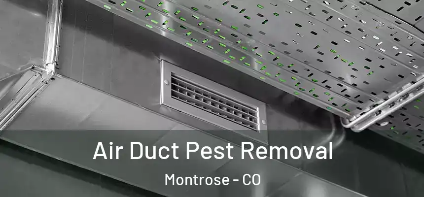 Air Duct Pest Removal Montrose - CO