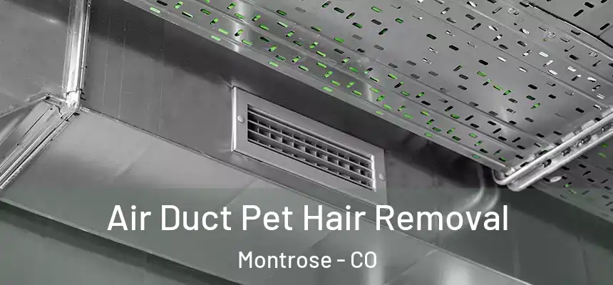 Air Duct Pet Hair Removal Montrose - CO