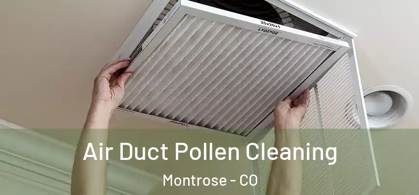  Air Duct Pollen Cleaning Montrose - CO