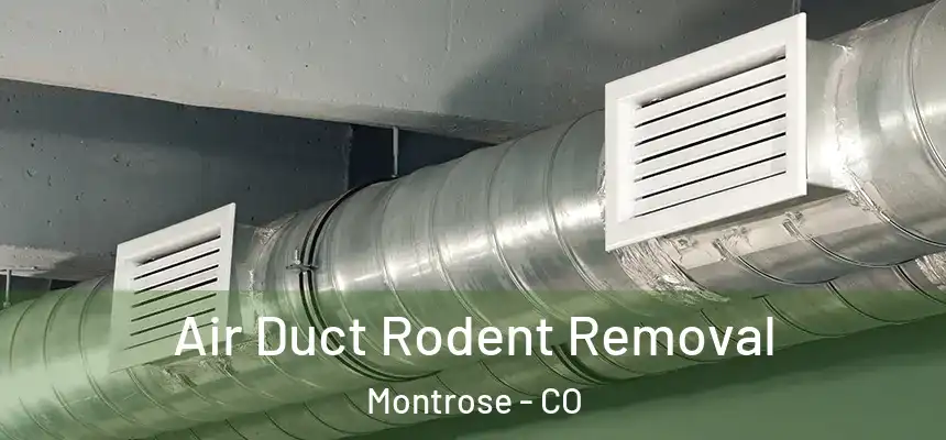 Air Duct Rodent Removal Montrose - CO