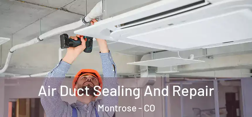 Air Duct Sealing And Repair Montrose - CO
