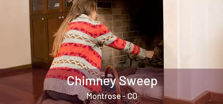  Chimney Sweep Montrose - CO