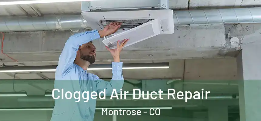 Clogged Air Duct Repair Montrose - CO