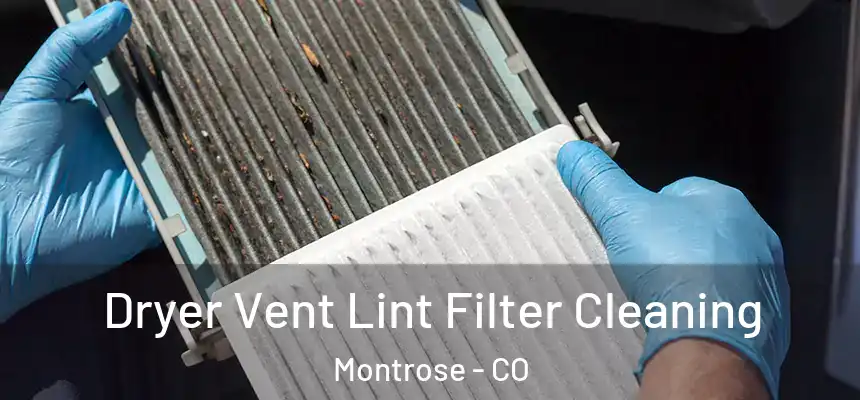  Dryer Vent Lint Filter Cleaning Montrose - CO
