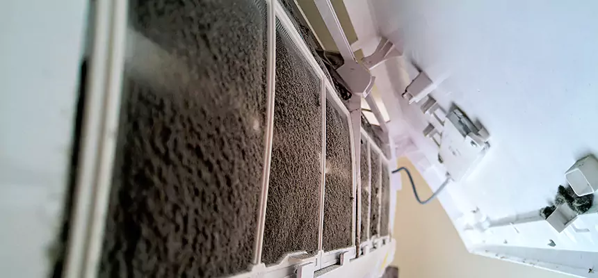 Preventive Air Duct Bacteria Removal in Montrose