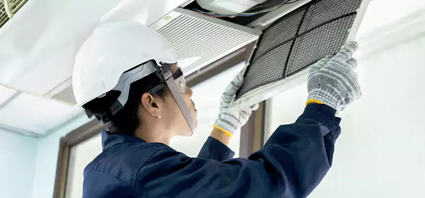 Our Mold & Mildew Removal from Air Ducts Services in Montrose, CO