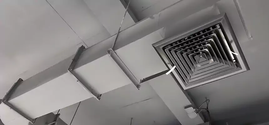 Our Pest Removal From Ducts Services in Montrose, CO