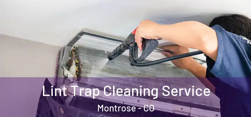  Lint Trap Cleaning Service Montrose - CO