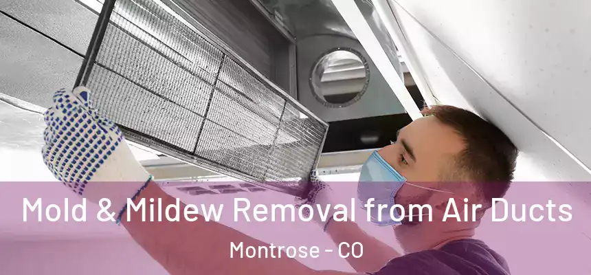 Mold & Mildew Removal from Air Ducts Montrose - CO