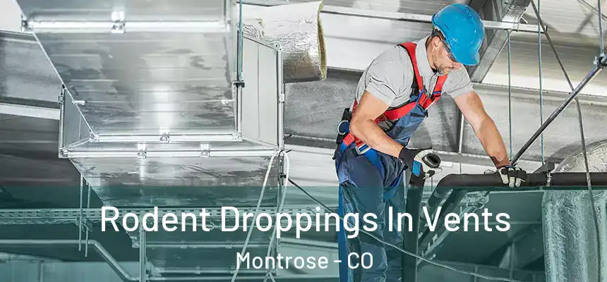 Rodent Droppings In Vents Montrose - CO