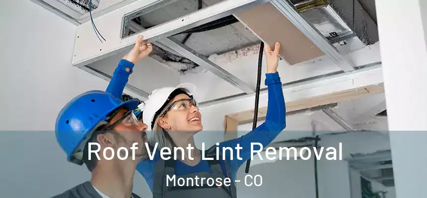 Roof Vent Lint Removal Montrose - CO