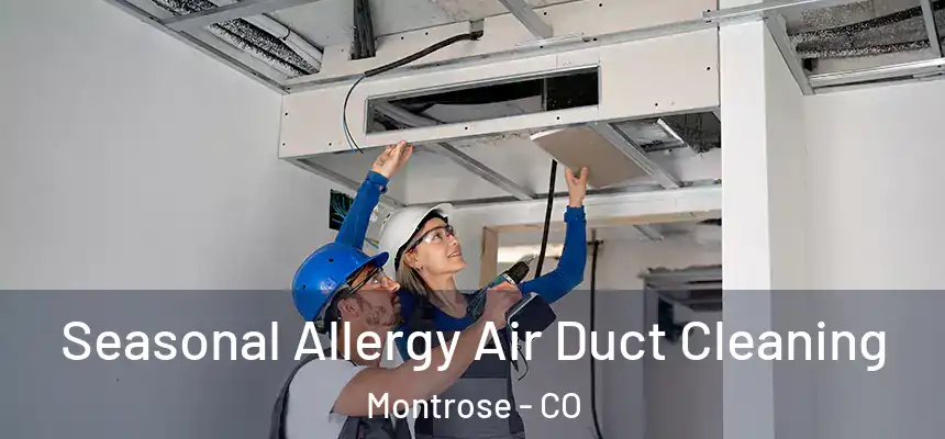 Seasonal Allergy Air Duct Cleaning Montrose - CO