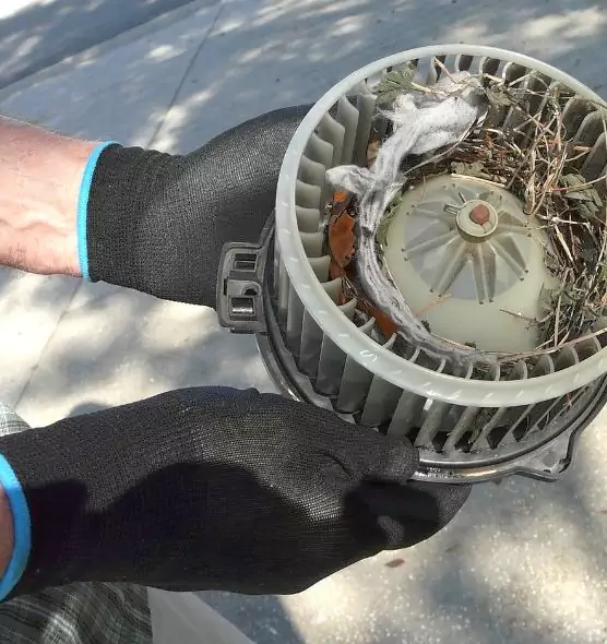 About Air Duct Rat Removal in Montrose, CO