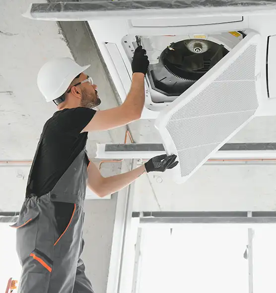 About Air Duct Rodent Removal in Montrose, CO