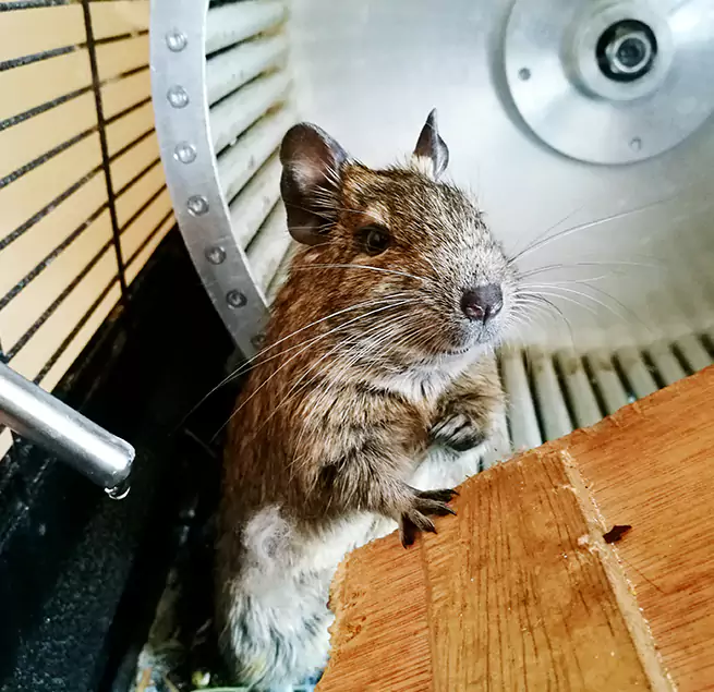 Why Homeowners & Businesses Trust Us Montrose, CO