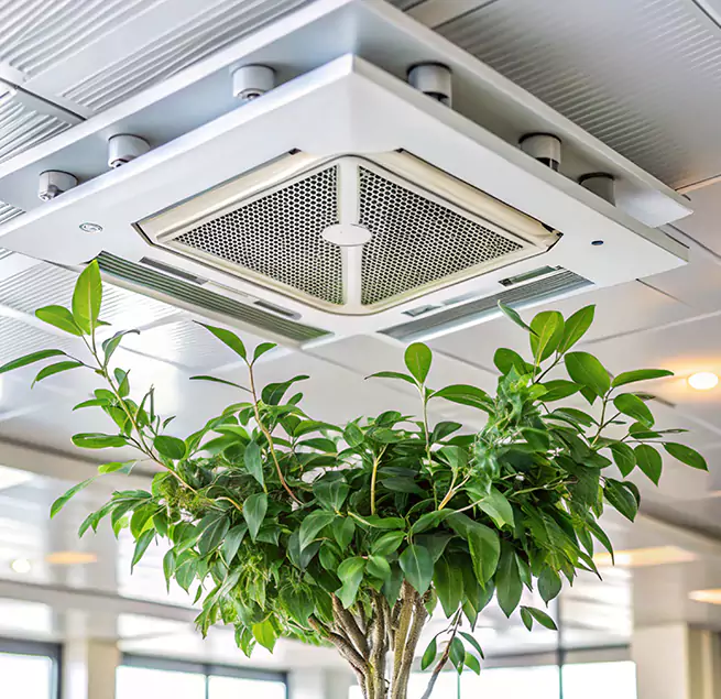 Why Homeowners & Businesses Trust Us in Montrose, CO?