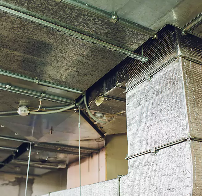 Why Homeowners & Businesses Trust Us in Montrose, CO?