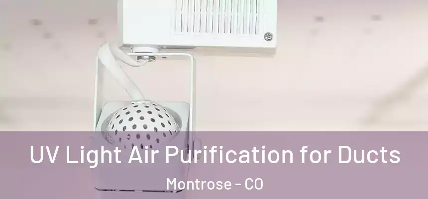 UV Light Air Purification for Ducts Montrose - CO